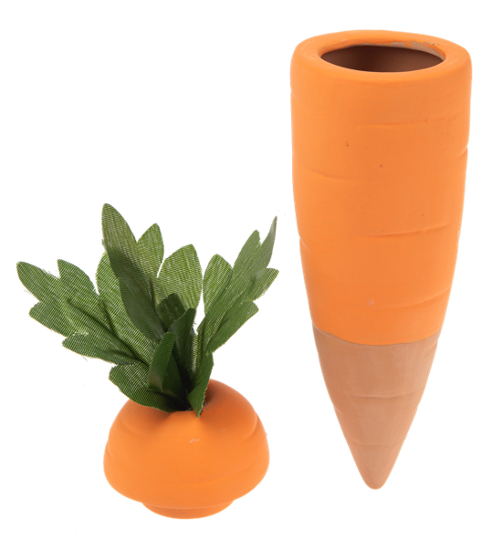 Carrot Water Spike