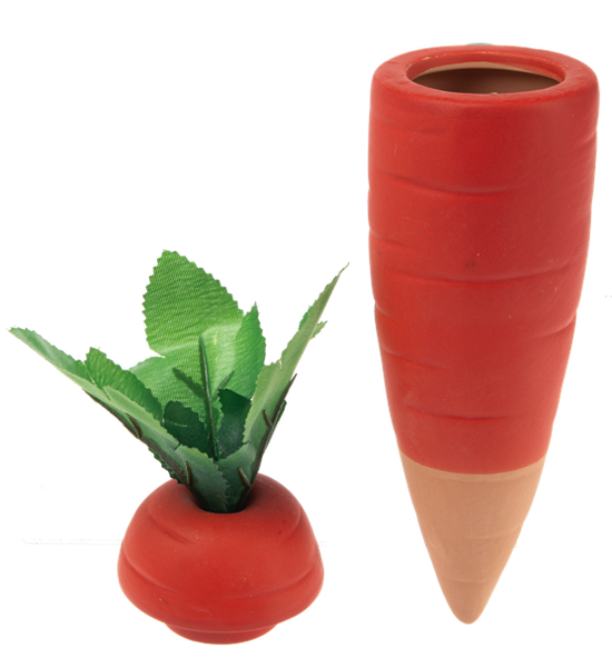 Carrot Water Spike