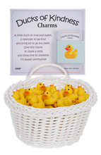 Load image into Gallery viewer, Basket Luck Charms
