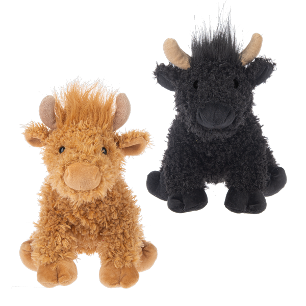 Henne Highland Cow