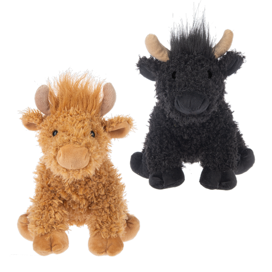 Henne Highland Cow