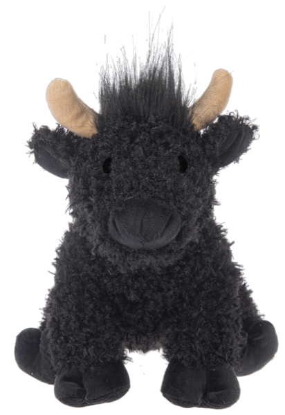 Henne Highland Cow