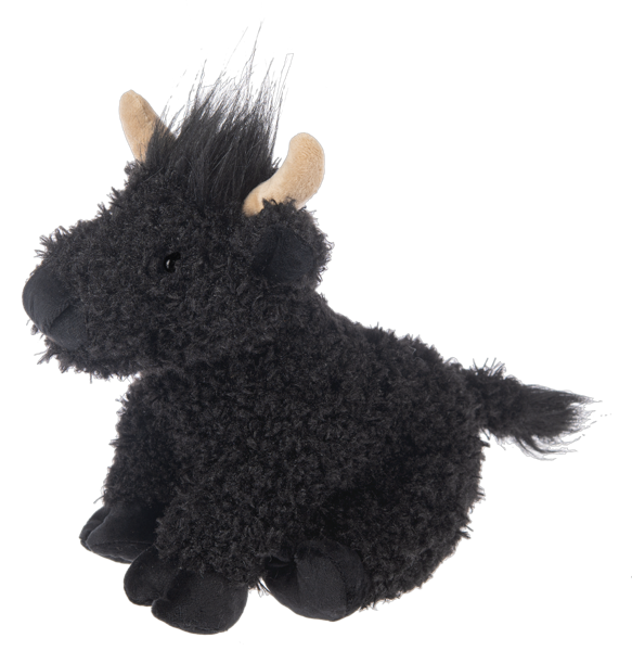 Henne Highland Cow