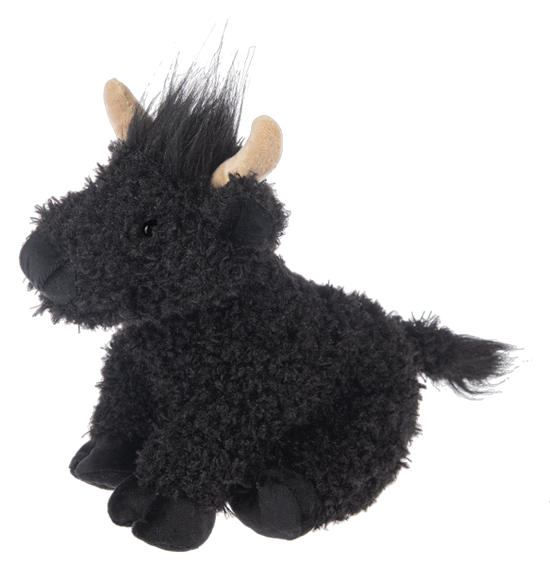 Henne Highland Cow