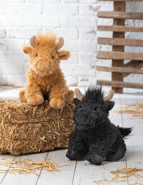 Henne Highland Cow