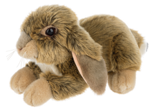 Load image into Gallery viewer, Heritage Dutch Bunny
