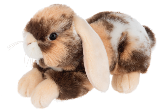 Heritage Dutch Bunny