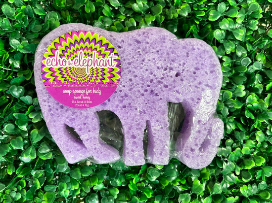 Bath Time Fun Sponges