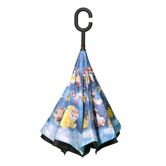 Topsy Turvy Umbrellas