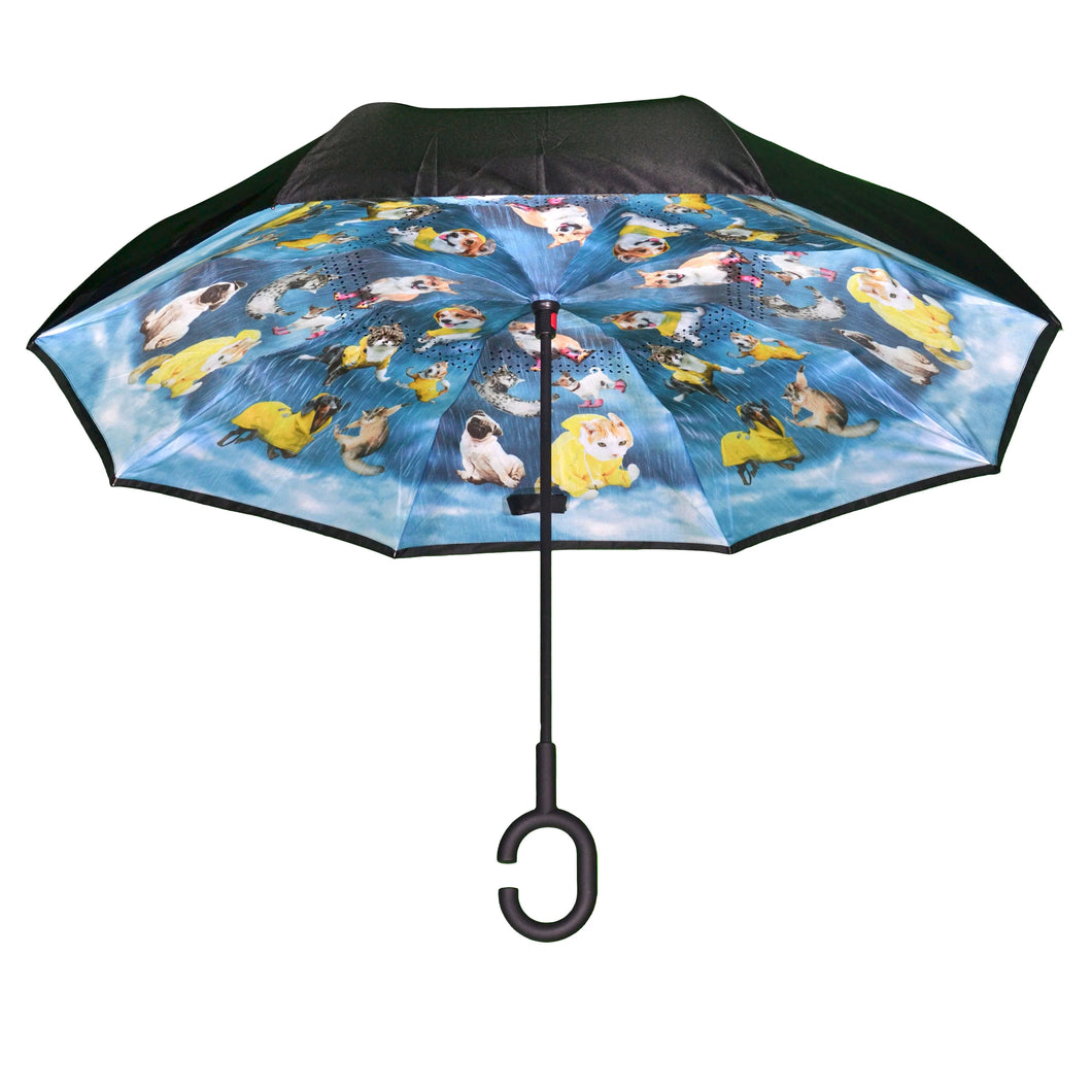 Topsy Turvy Umbrellas
