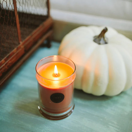 Bridgewater Harvest Pumpkin Collection