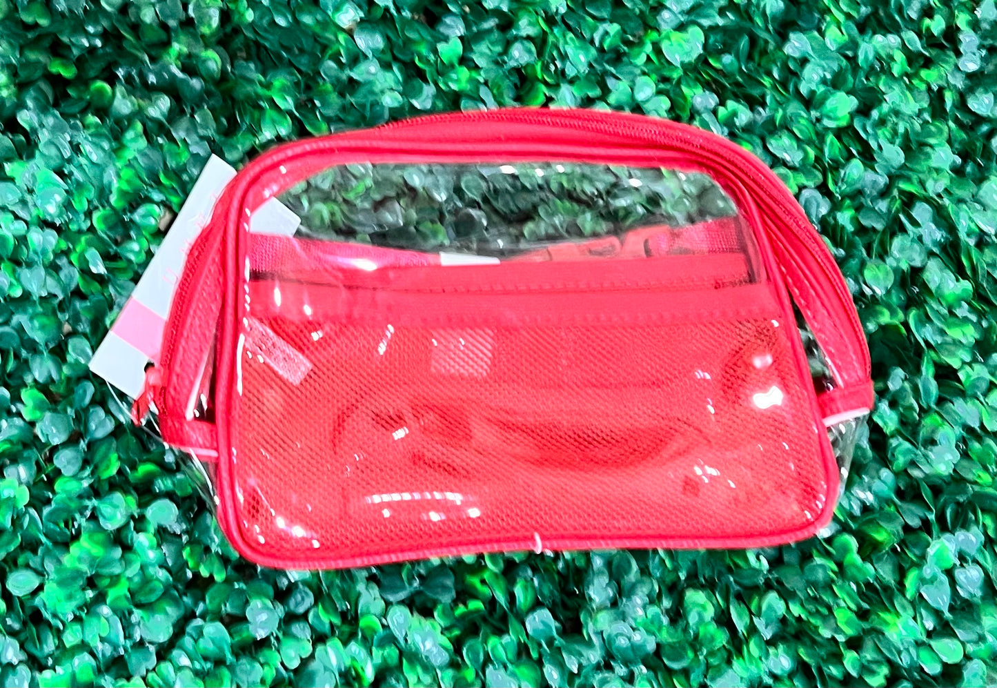Clear Bum Bag