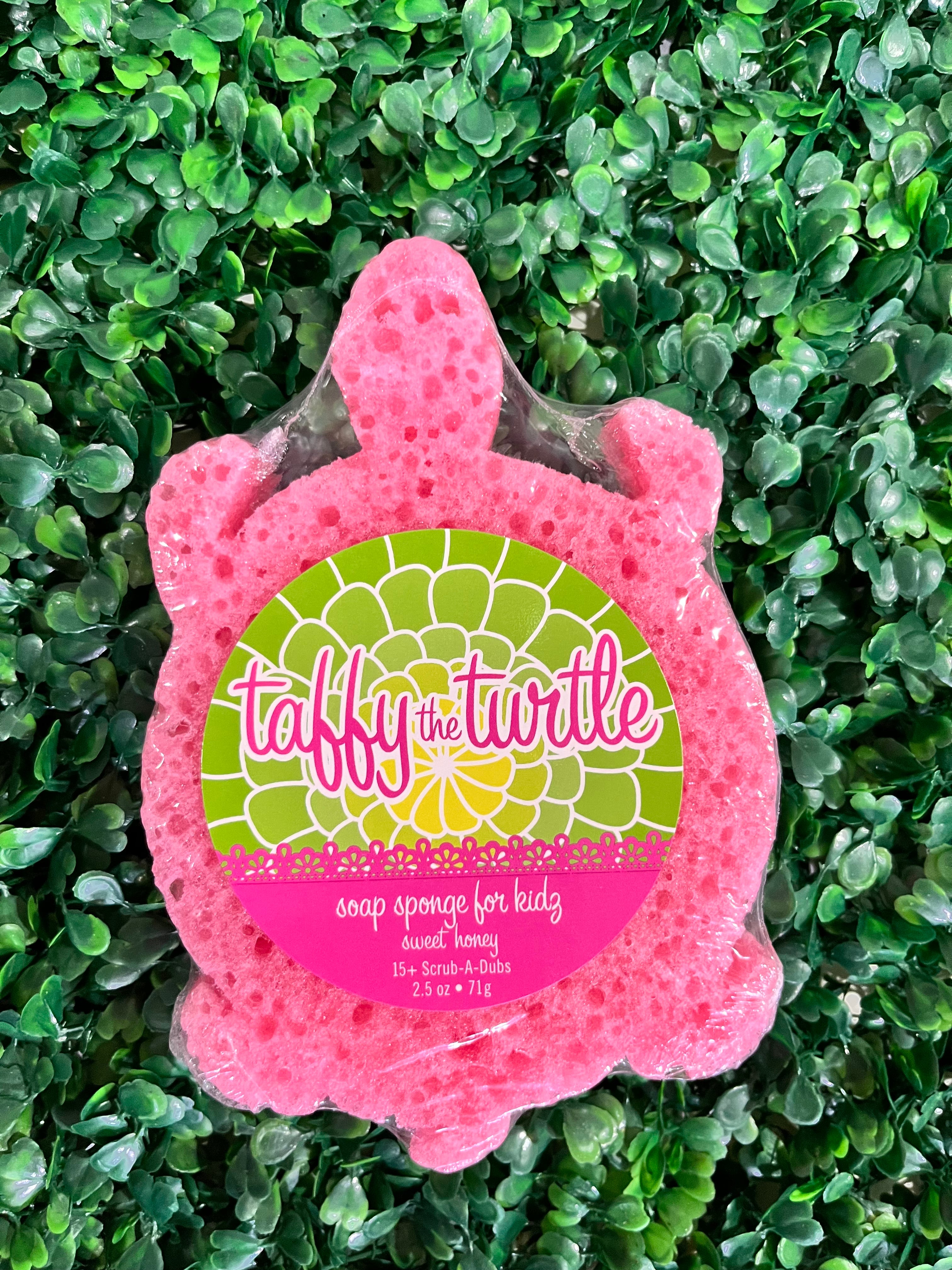 Bath Time Fun Sponges