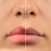 Load image into Gallery viewer, Farmasi Tinted Lip Plumper *FINAL SALE *
