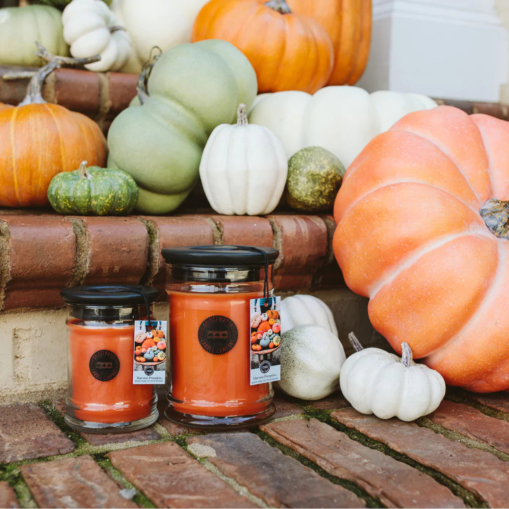 Bridgewater Harvest Pumpkin Collection