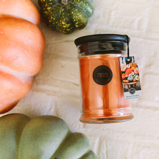 Bridgewater Harvest Pumpkin Collection