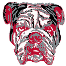 Load image into Gallery viewer, UGA Bulldogs Graphic Tee
