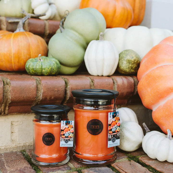 Bridgewater Harvest Pumpkin Collection