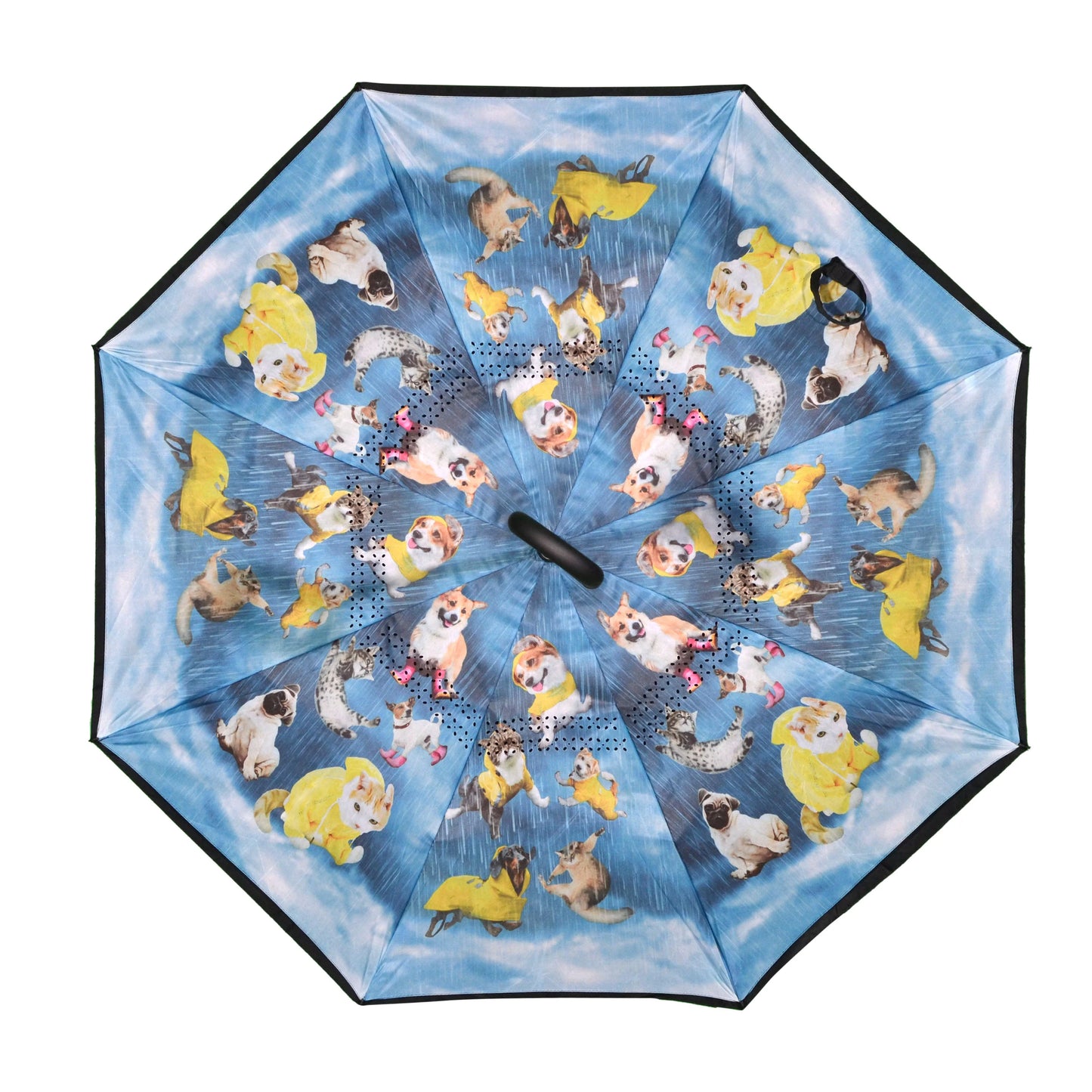 Topsy Turvy Umbrellas