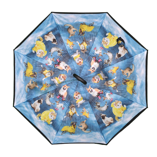 Topsy Turvy Umbrellas