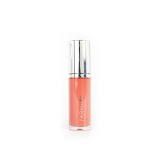 Load image into Gallery viewer, Farmasi Tinted Lip Plumper *FINAL SALE *
