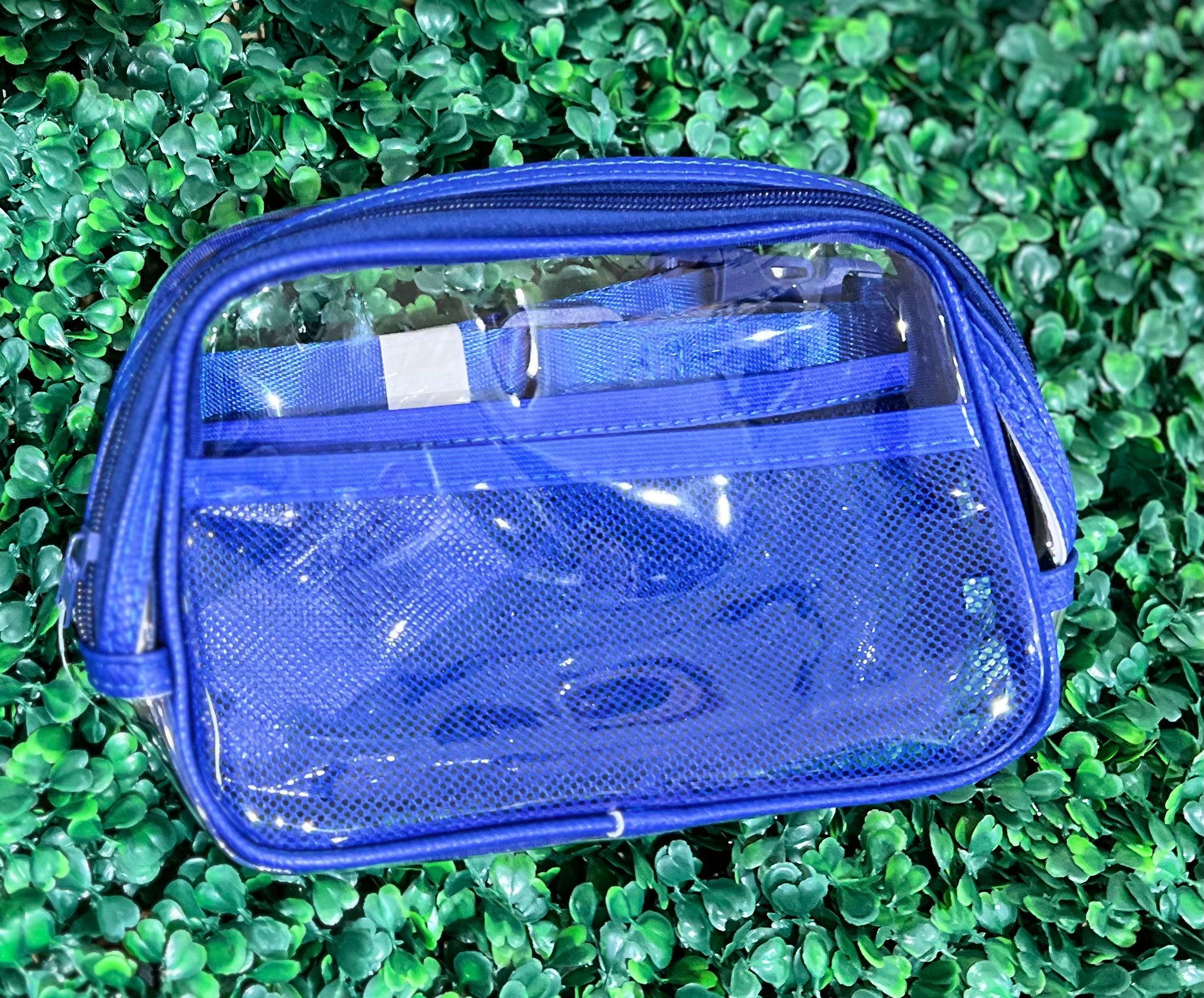 Clear Bum Bag